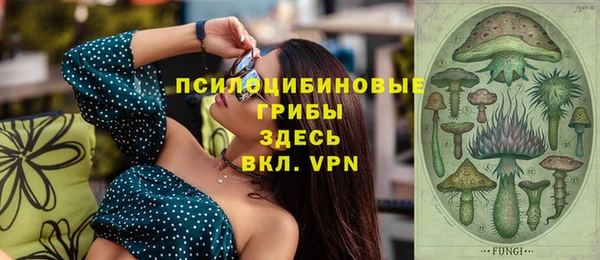 spice Покачи
