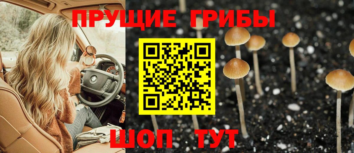 Псилоцибиновые грибы MAGIC MUSHROOMS Надым