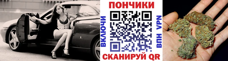 Марихуана планчик как найти закладки kraken как войти Надым